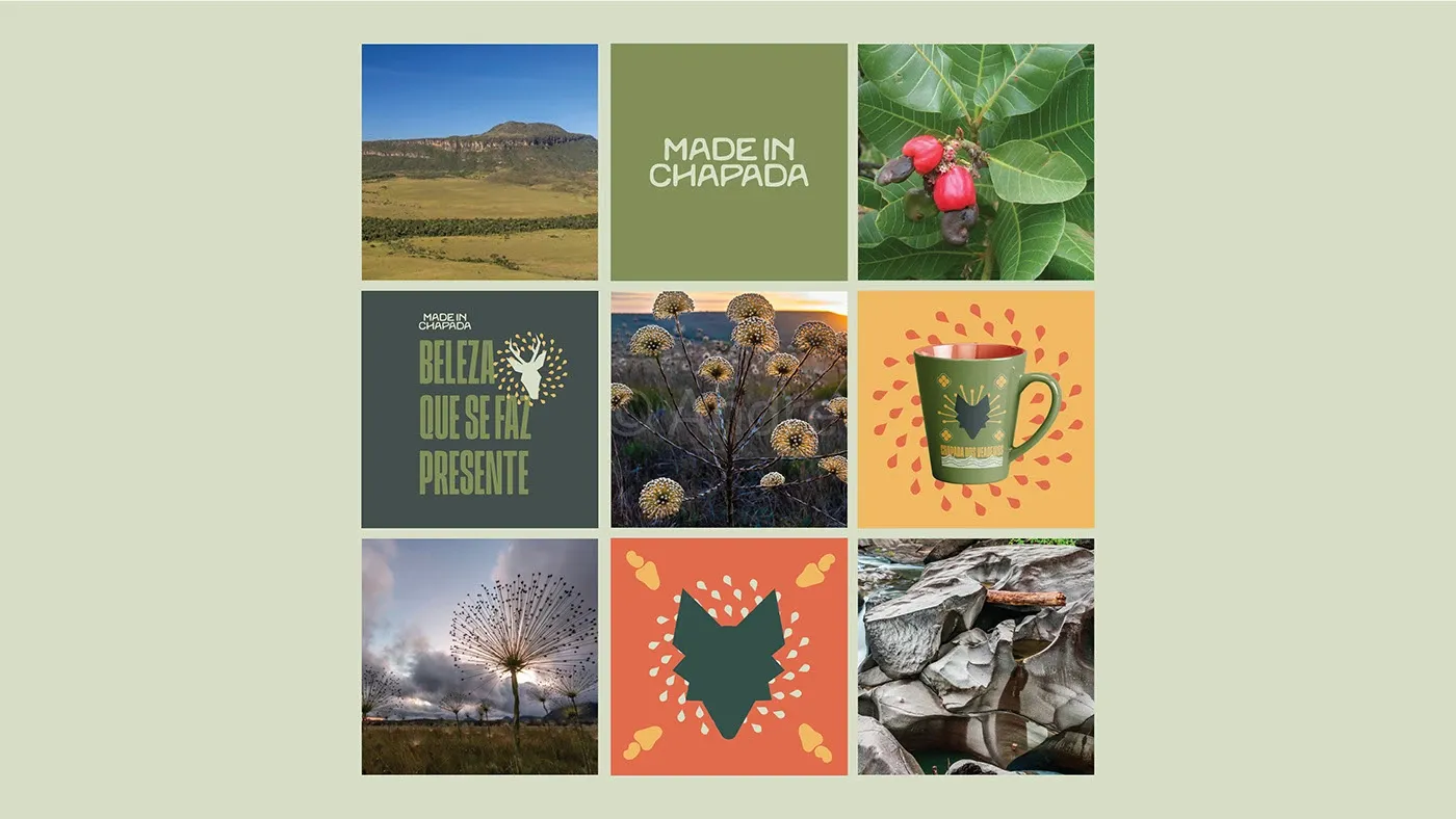 Projeto Made in Chapada, imagem 9