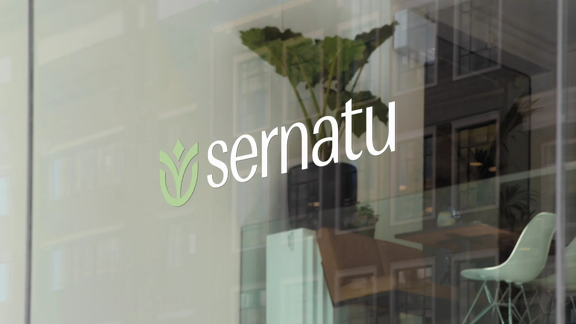 Projeto Sernatu, imagem 11